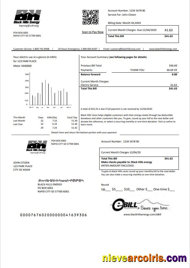 USA South Dakota Black Hills Energy utility bill